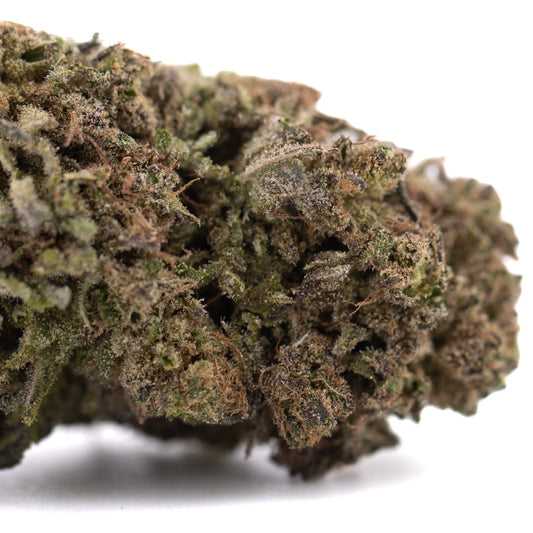 Purple Marmalade THCa Hemp Flower Greenhouse - Plants