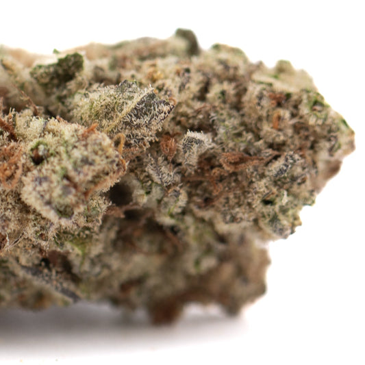 Purple Pop Rocks THCa Hemp Flower Greenhouse - Plants