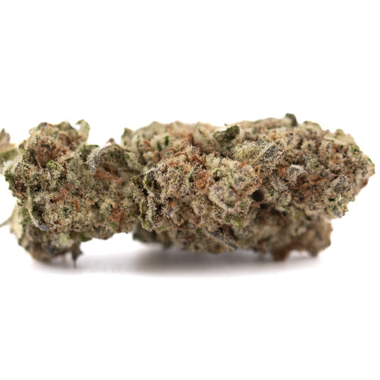 Purple Pop Rocks THCa Hemp Flower Greenhouse - Plants