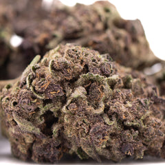Purple Queen THCa Hemp Flower Greenhouse