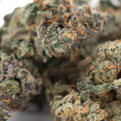 Purple Daquri Indoor THCa Flower