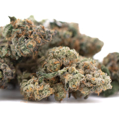 Purple Daquri Indoor THCa Flower