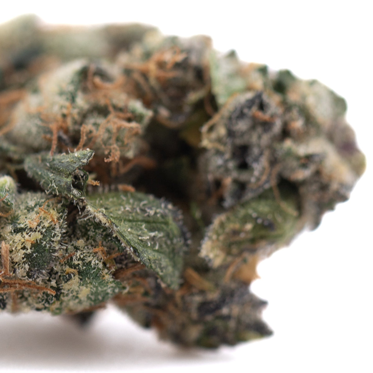 Purple Daquri Indoor THCa Flower