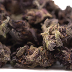 Purple Queen THCa Hemp Flower Greenhouse Smalls Wholesale