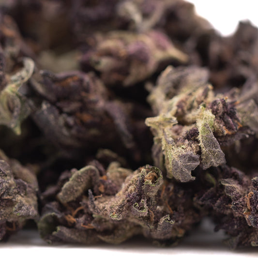 Purple Queen THCa Hemp Flower Greenhouse Smalls