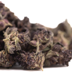 Purple Queen THCa Hemp Flower Greenhouse Smalls Wholesale