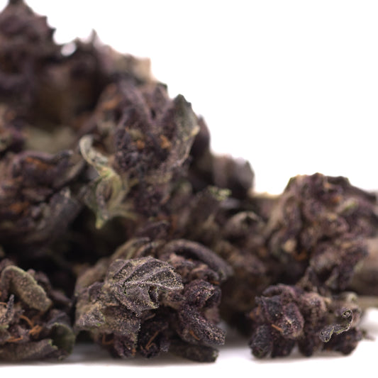 Purple Queen THCa Hemp Flower Greenhouse Smalls Wholesale