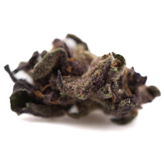 Purple Queen THCa Hemp Flower Greenhouse Smalls