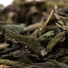 Purple Wedding Greenhouse THCa Trim Wholesale