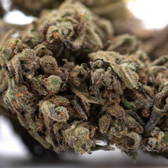 RNA CBD Hemp Flower Full-Term Wholesale