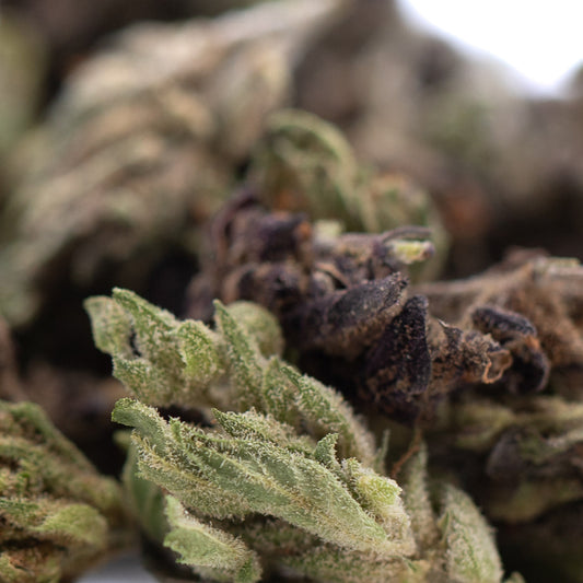 RNA CBD Hemp Flower Full-Term Smalls Wholesale