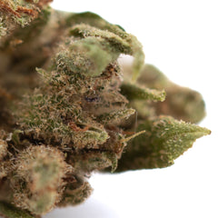 RNA CBD Hemp Flower Full-Term Smalls