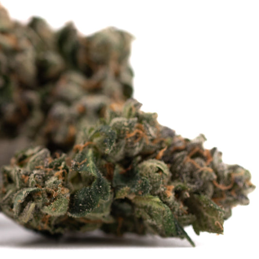 Rose Gold Runtz Indoor THCa Flower - Plants