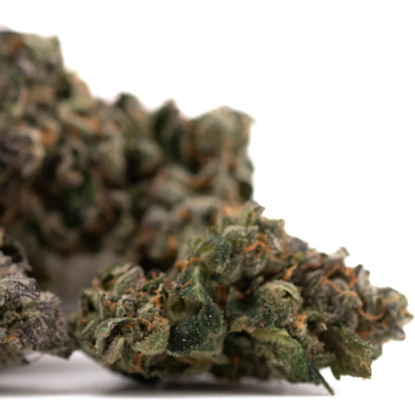 Purple Wedding and Guava Z Review