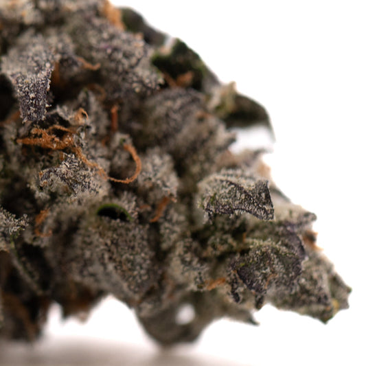 Rose Gold Runtz Indoor THCa Flower - Plants
