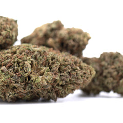 Royal OG CBD Full-Term Hemp Flower
