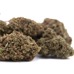 Royal OG CBD Full-Term Hemp Flower