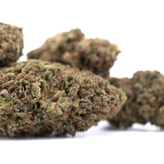 Royal OG CBD Full-Term Hemp Flower