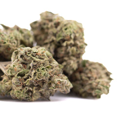 Rozay Cake THCa Hemp Flower Greenhouse