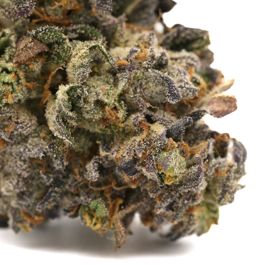 Russian Runtz Indoor THCa Flower - Plants