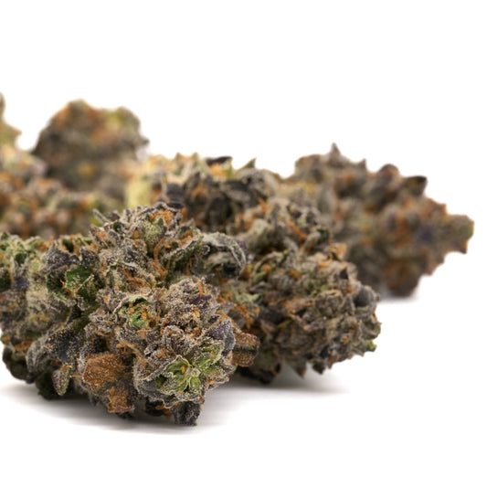 Russian Runtz Indoor THCa Flower - Plants