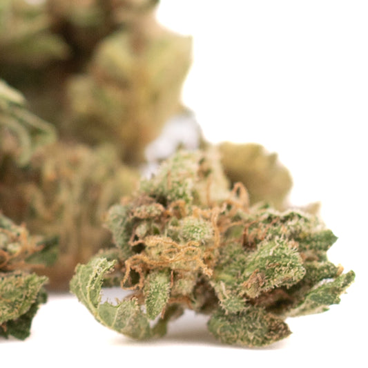 Sour Brûlée CBD Hemp Flower Smalls