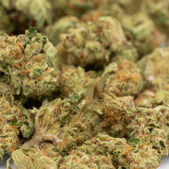 Garlic Cookies THCa Hemp Flower Greenhouse Smalls - Plants