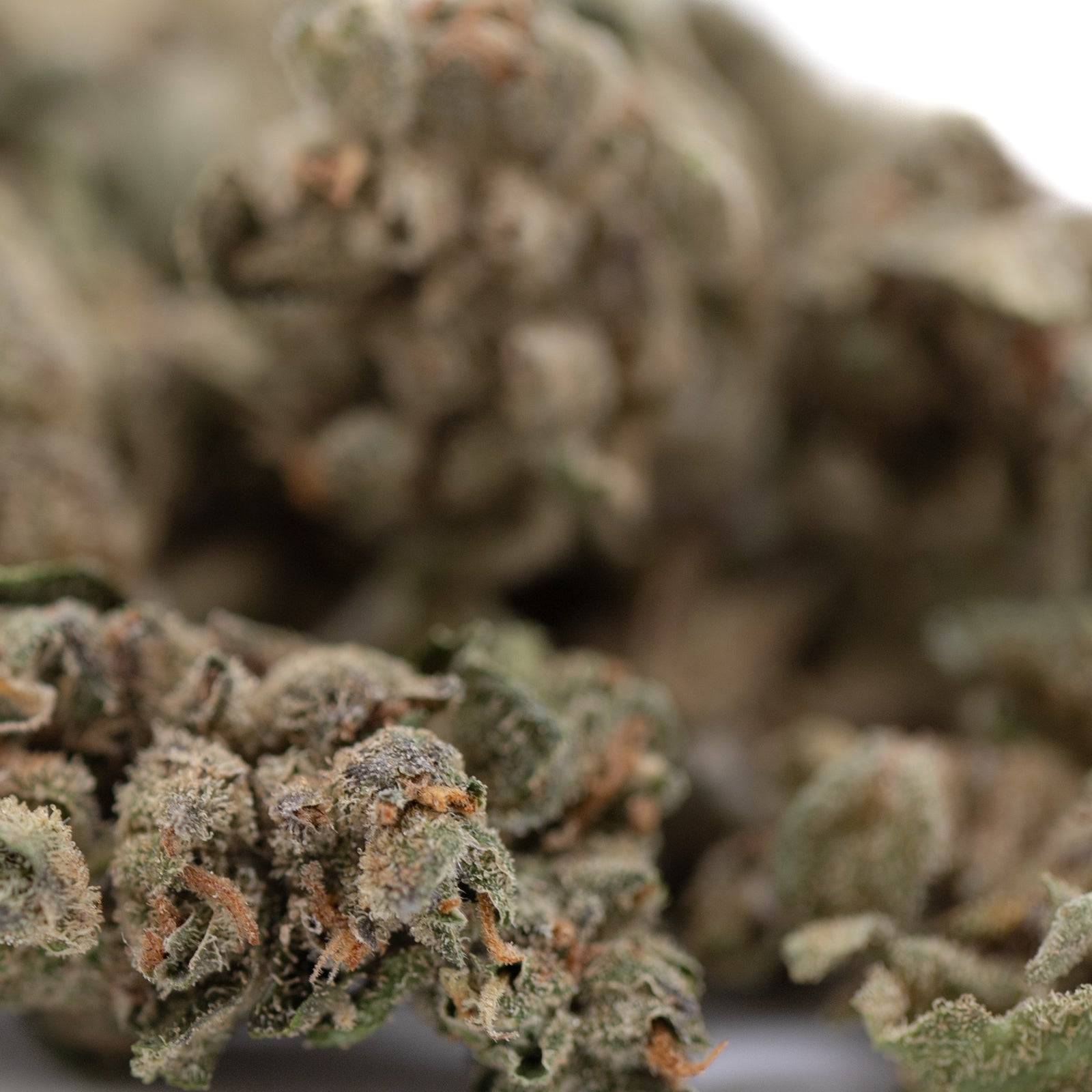 Potent Sour Apple THCa Flower Smalls with green leaves and white trichomes