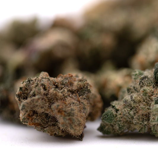 Sour Candy Indoor THCa Flower Smalls - Plants