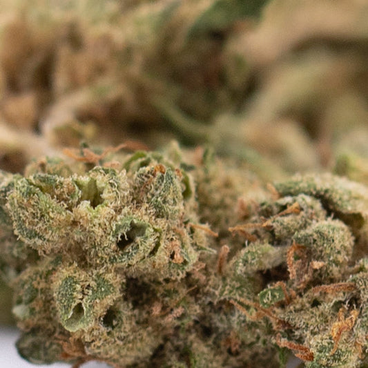 Sour Chem CBD Hemp Flower Smalls Full-Term Wholesale