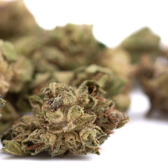 Sour Chem CBD Hemp Flower Smalls Full-Term Wholesale
