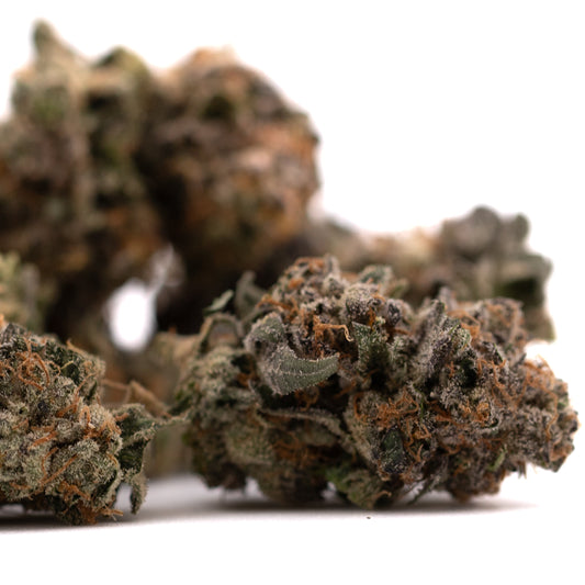 Sour Runtz Indoor THCa Flower - Plants