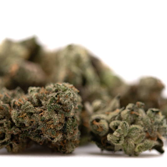 Sour Runtz Indoor THCa Flower Smalls - Plants