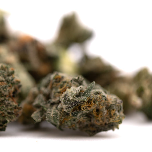 Sour Runtz Indoor THCa Flower Smalls - Plants