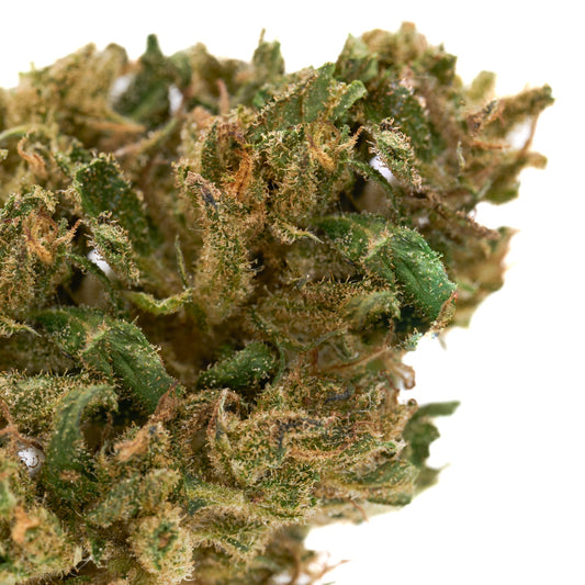 Spectrum CBD Hemp Flower Full-Term - Plants