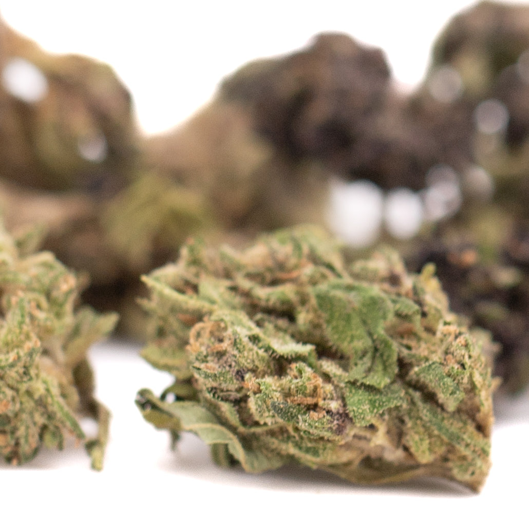 Spectrum CBD Hemp Flower Full-Term Smalls Wholesale