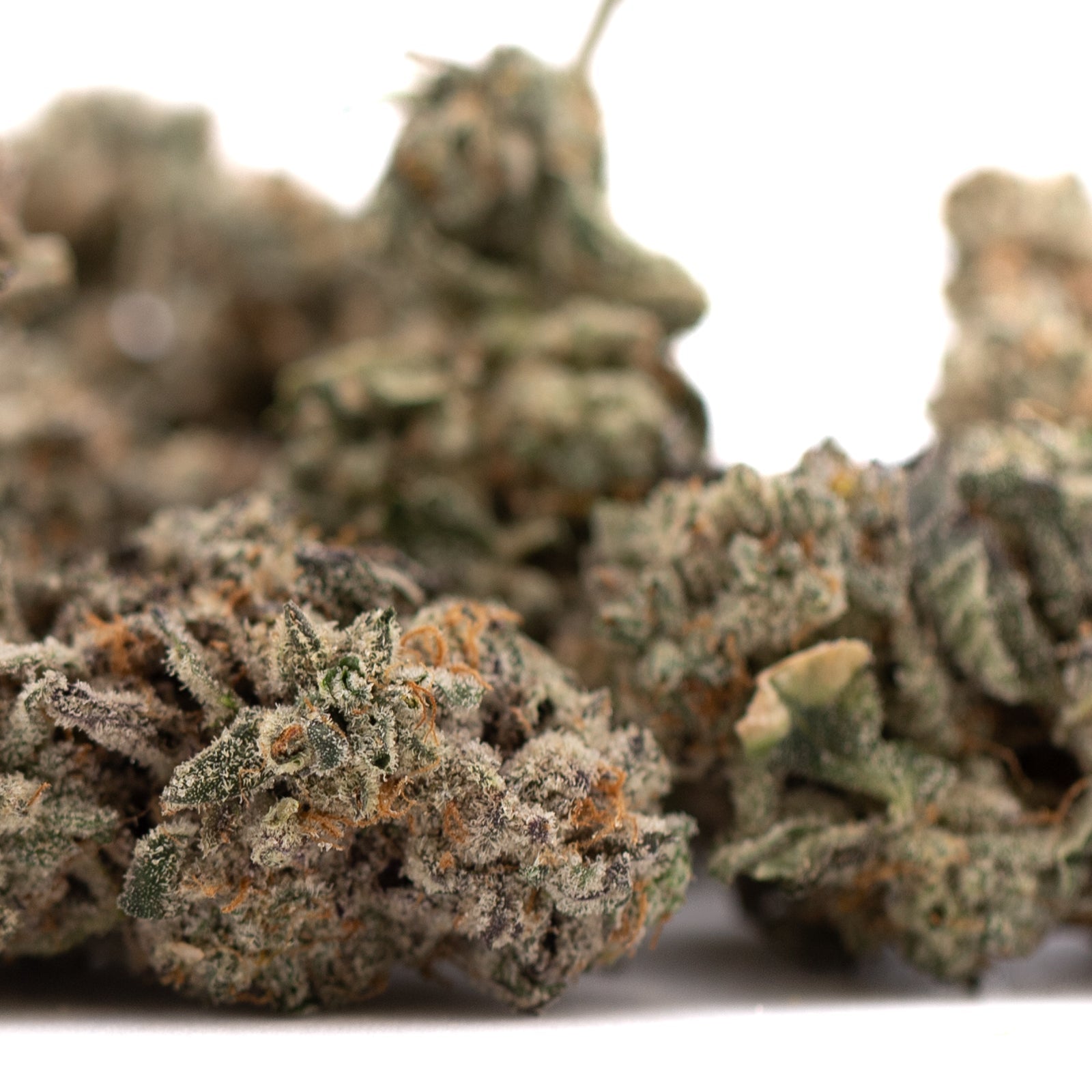 Street Tarts Indoor THCa Flower - Plants