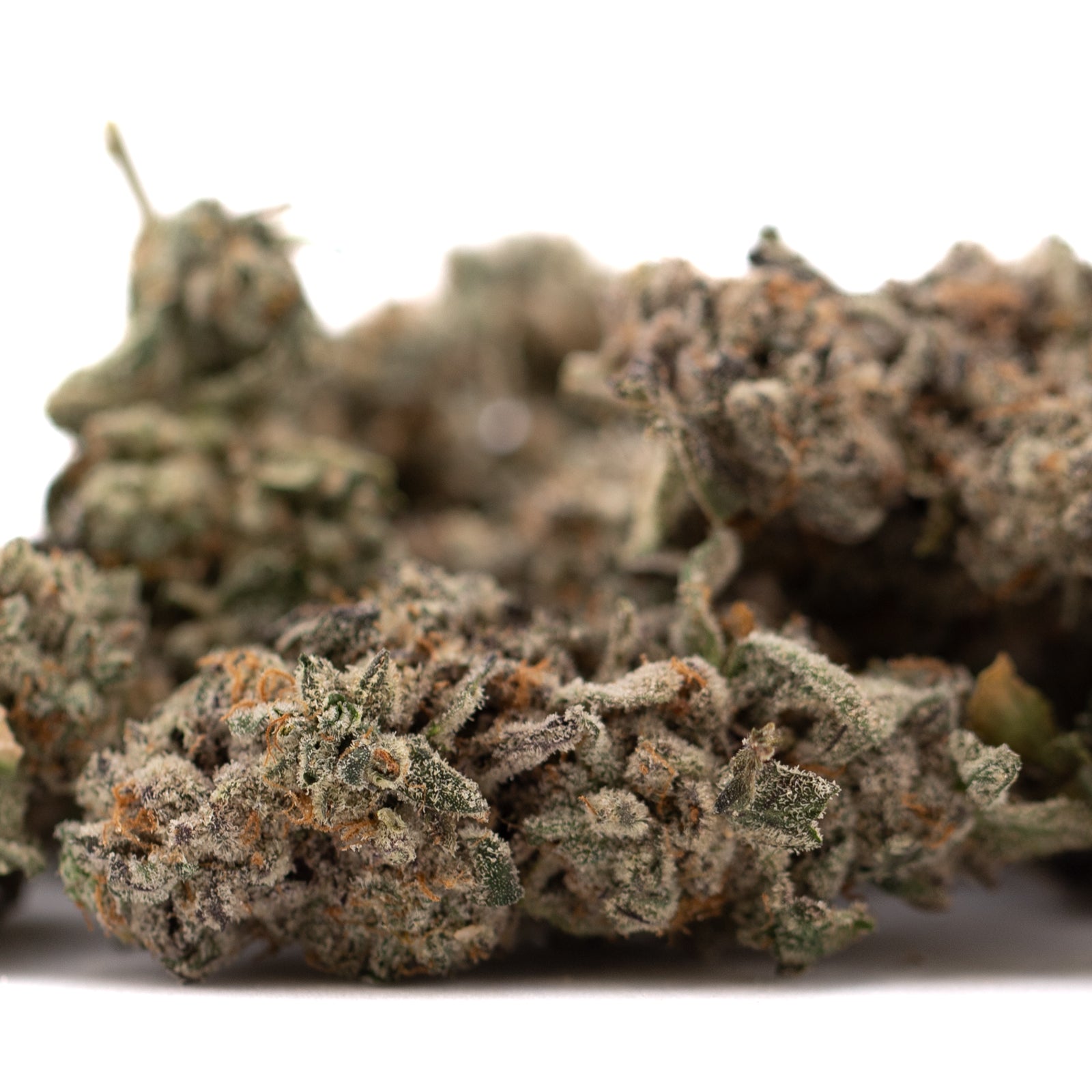 Street Tarts Indoor THCa Flower - Plants