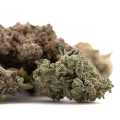 Dried Street Tarts Indoor THCa Flower with green hue, purple coloration, and visible trichomes