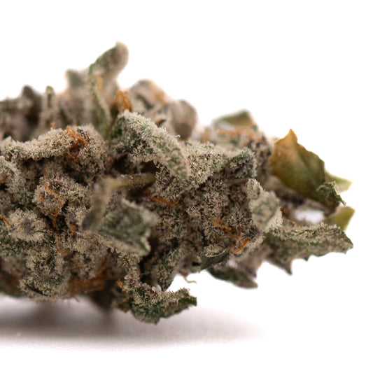 Street Tarts Indoor THCa Flower - Plants