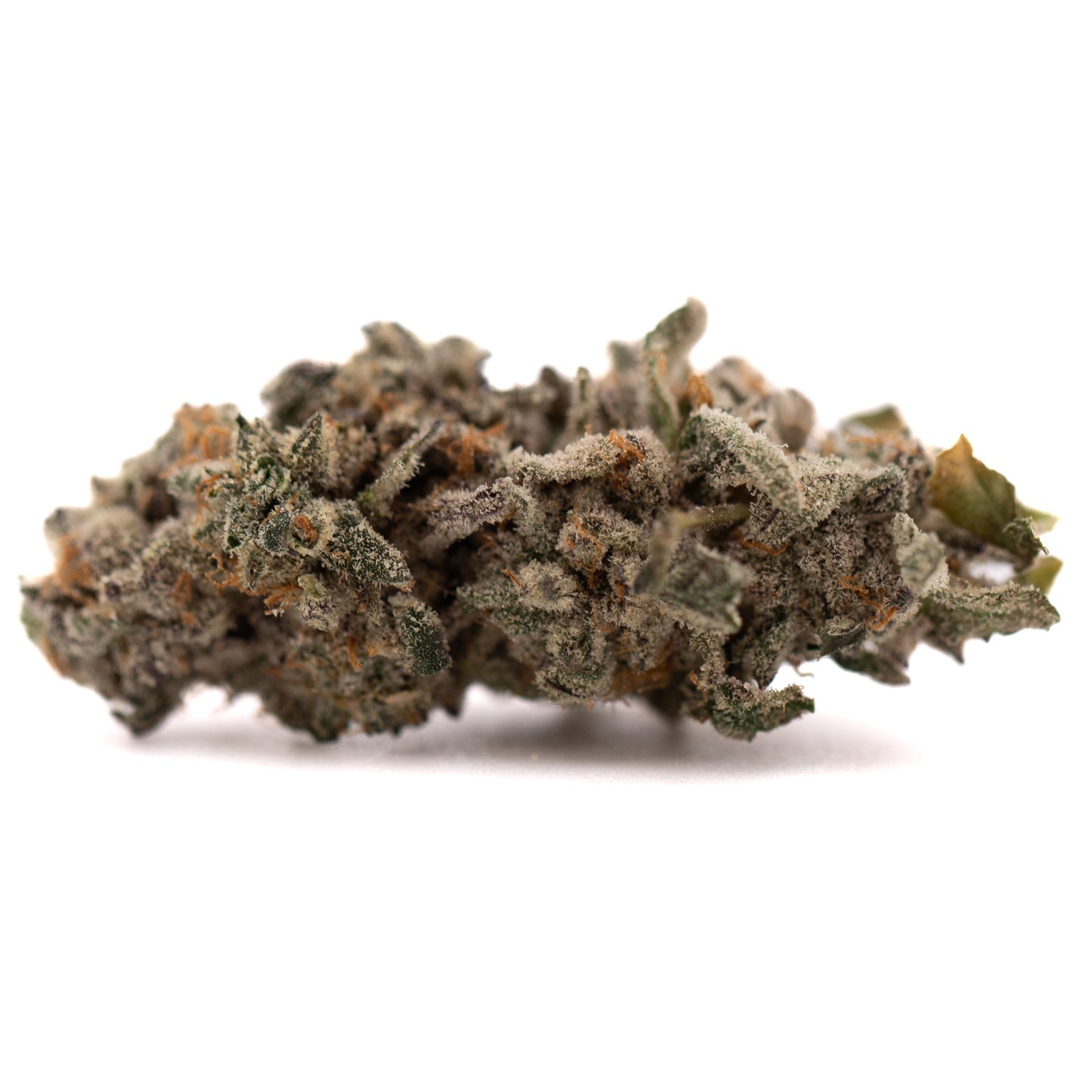 Street Tarts Indoor THCa Flower - Plants