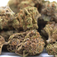 Studio 54 THCa Hemp Flower Greenhouse Smalls