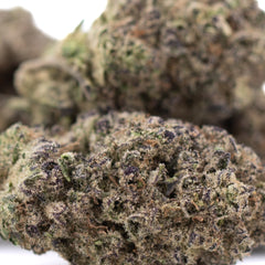 Sugar THCa Hemp Flower Greenhouse