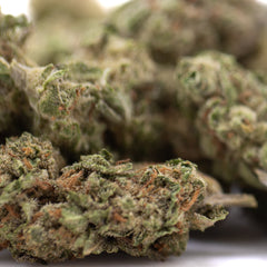 Sugar THCa Greenhouse Smalls