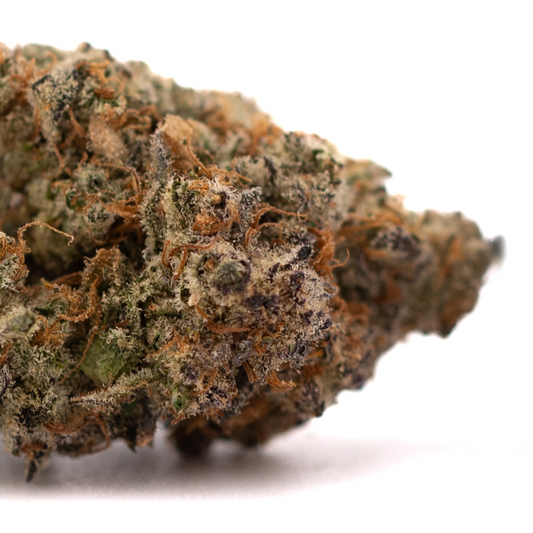 Super Runtz Indoor THCa Flower - Plants