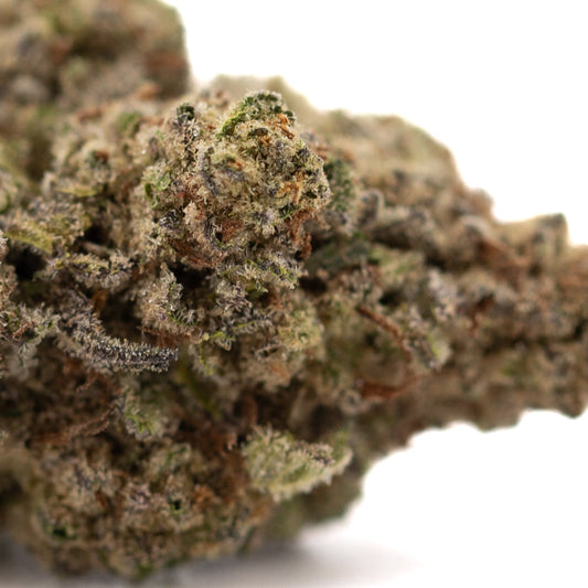 Super Runtz THCa Hemp Flower Greenhouse