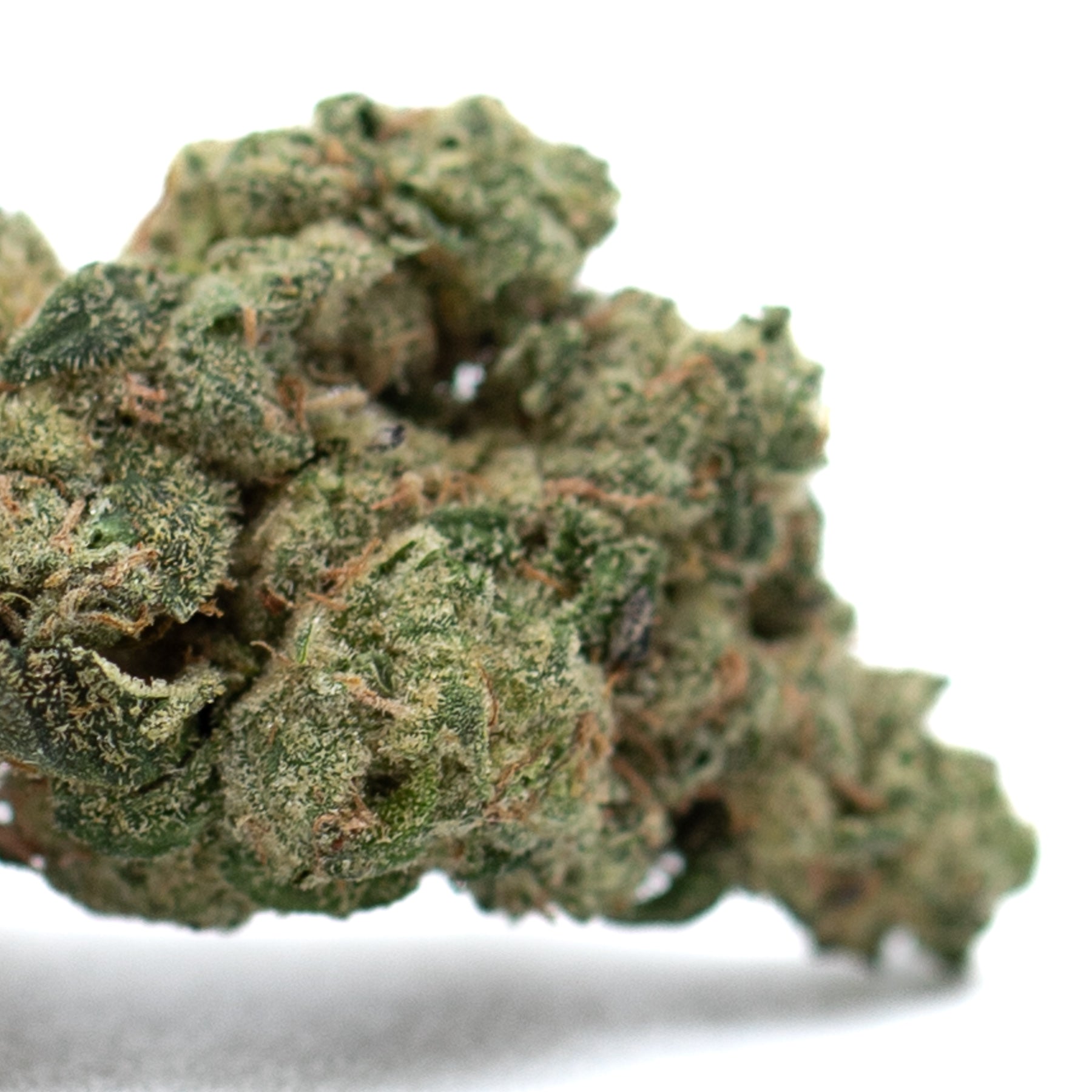 Teflon Indoor THCa Flower