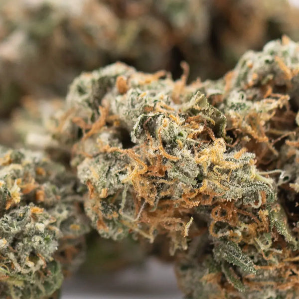 How to Tell If THCA Flower