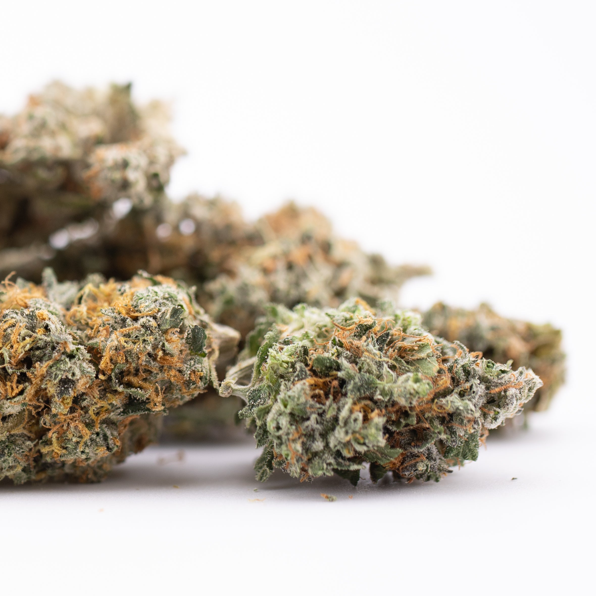 Thai OG Indoor THCa Flower Wholesale