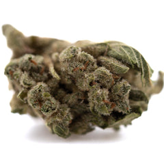 Premium TriCross THCa Flower Smalls: Green Bud with Trichomes